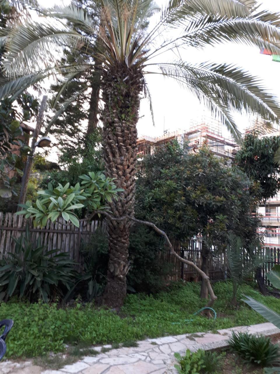 Etty'S House Hotel Petach Tikva Bagian luar foto