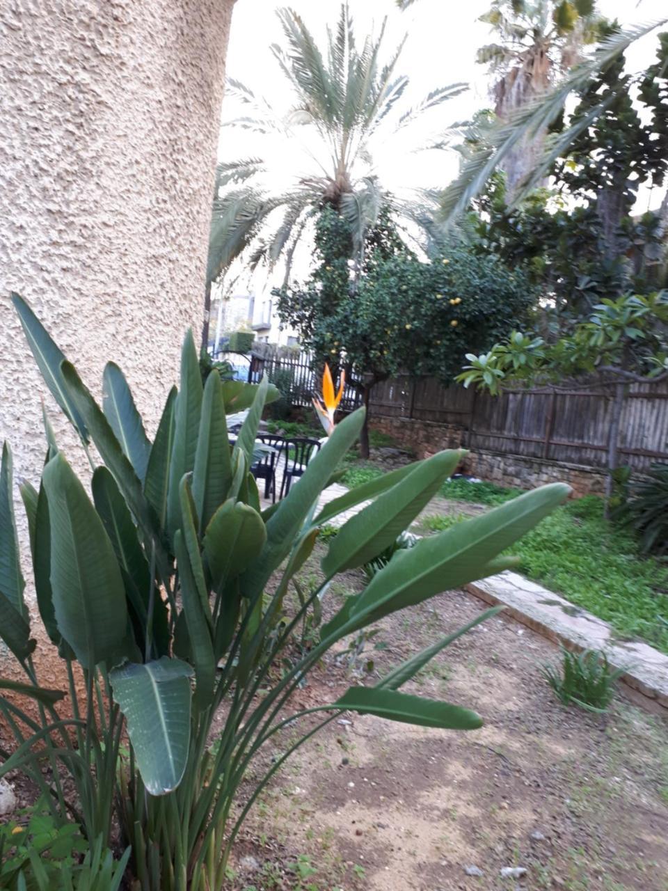 Etty'S House Hotel Petach Tikva Bagian luar foto